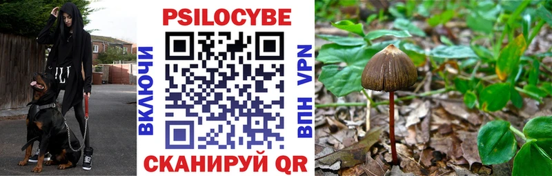 blacksprut как зайти  Нижние Серги  Галлюциногенные грибы Psilocybe 